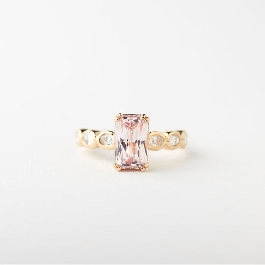 Customizable Elsie Setting