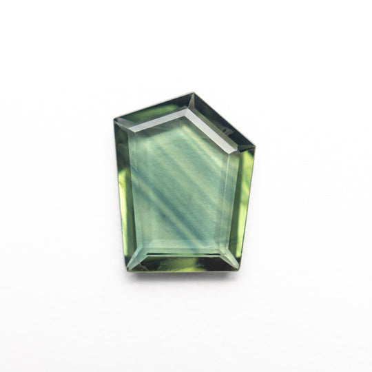 1.54ct 9.16x6.01x1.93mm Pentagon Portrait Cut Sapphire 23433-39