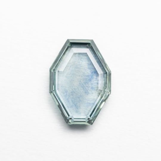 1.45ct 8.92x6.31x2.18mm Octagon Portrait Cut Sapphire 23474-26