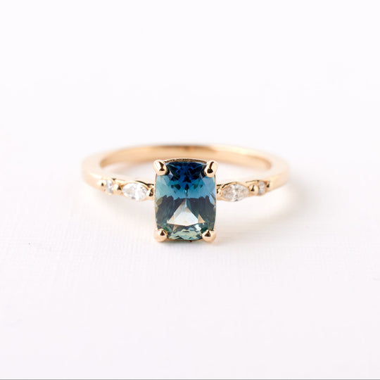 Customizable Nova Setting