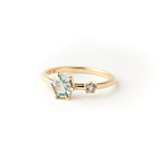 Wildlight Ring #5 - 0.71ct Hex Sapphire + 0.08ct Spinel Hex