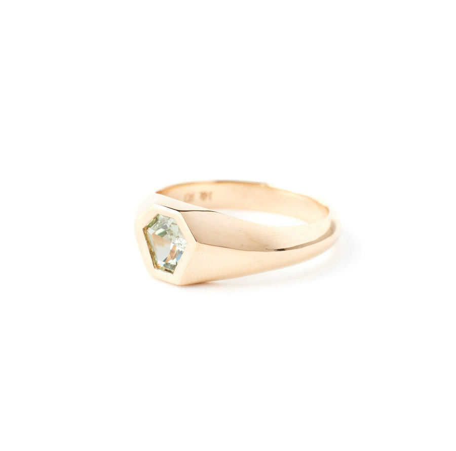 Dax Ring - 0.68 Carat Pale Seafoam Geo Montana Sapphire