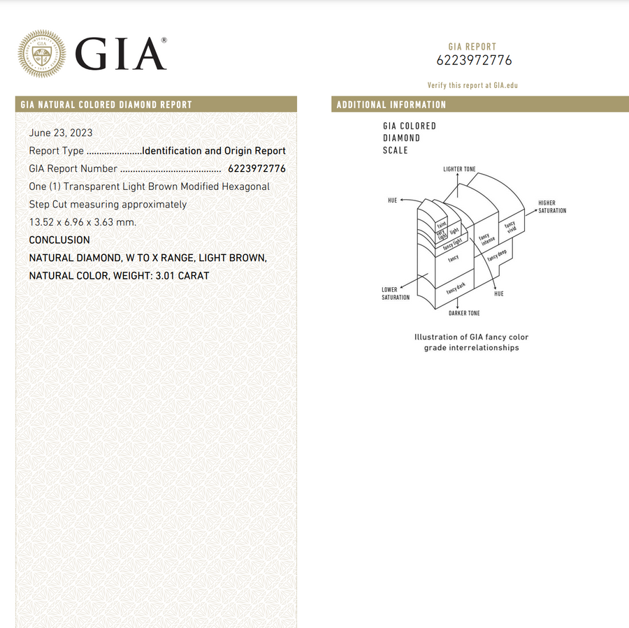 3.01ct 13.47x6.92x3.59mm GIA W-X Hexagon Step Cut 22921-01