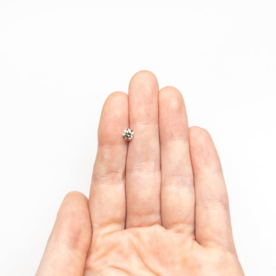 0.51ct 5.09x5.07x3.22mm Round Brilliant 21796-01 xx