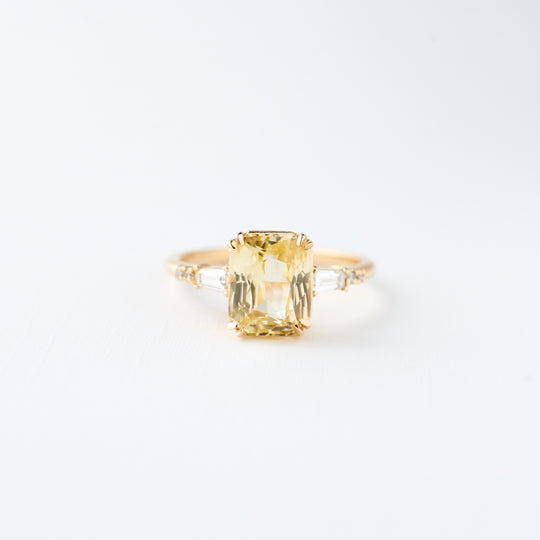 Customizable Sylvie Setting